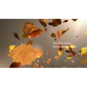 伤感励志8076