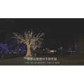 伤感励志8152