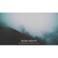 伤感励志8174