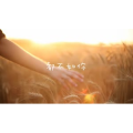 伤感励志8252