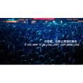 伤感励志8414