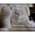 伤感励志8518