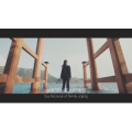 伤感励志8554