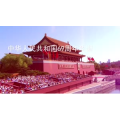 伤感励志8566
