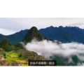 伤感励志8676