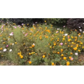 伤感励志8814