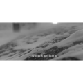 伤感励志8880