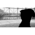 伤感励志8928