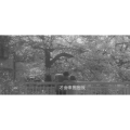 伤感励志8956