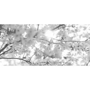 伤感励志9004