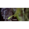 伤感励志9150