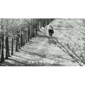 伤感励志9208