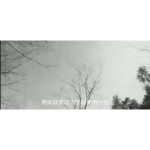 伤感励志9294