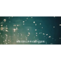 伤感励志9312