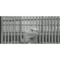 伤感励志9360