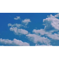 伤感励志9436