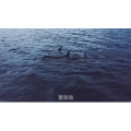 伤感励志9438