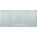 伤感励志9480