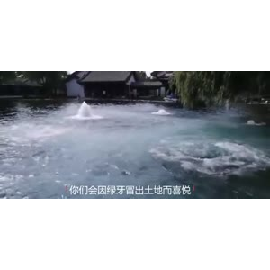 伤感励志9488