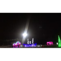 伤感励志9514