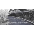 伤感励志9564