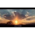 伤感励志4508