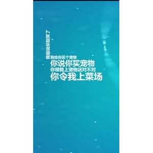文字类2