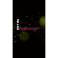文字类228