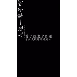 文字类340