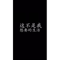 文字类390