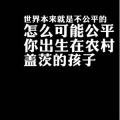 文字类528