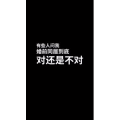 文字类550