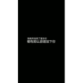 文字类558