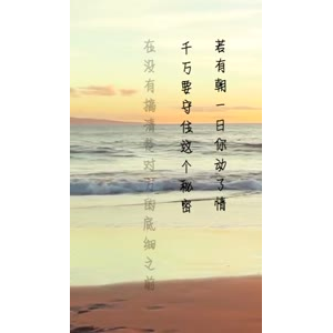 文字类728