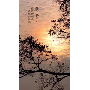 文字类824