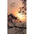 文字类824