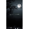 文字类854