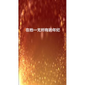 文字类862