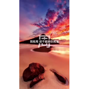 文字类918