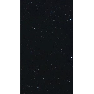 文字类934