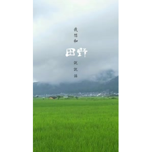 文字类1108