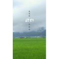 文字类1108
