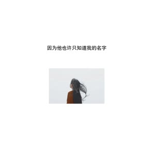 文字类1132