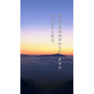 文字类1136