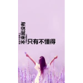 文字类1162