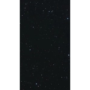 文字类1202