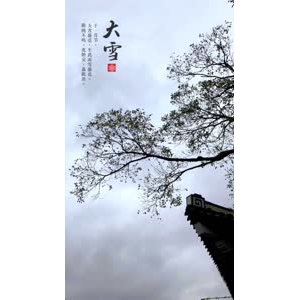 文字类1254