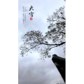 文字类1254