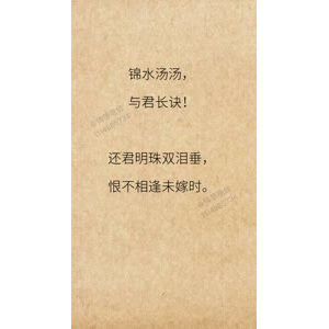 文字类1262