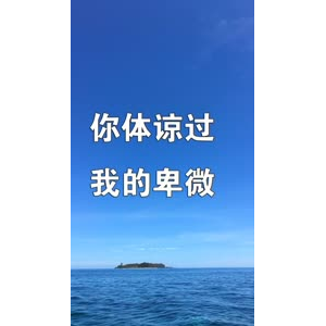 文字类1308